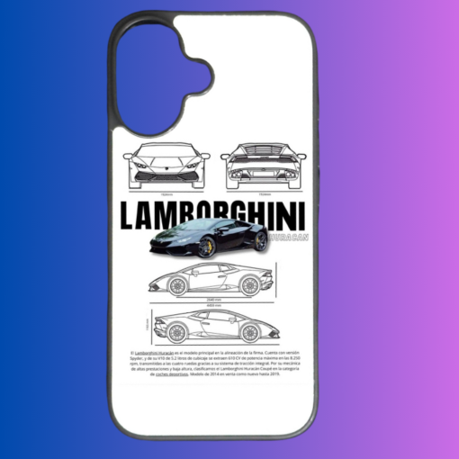 AW's Lamborghini Case